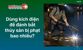 Dùng kích điện để đánh bắt thủy sản bị phạt bao nhiêu?