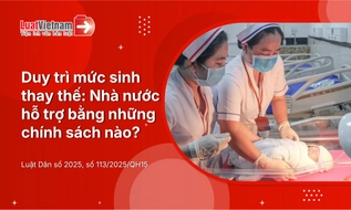 Mức sinh thay thế là gì? Nhà nước có những chính sách nào để duy trì mức sinh thay thế?