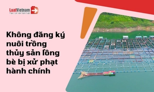 Không đăng ký nuôi trồng thủy sản lồng bè xử lý thế nào?