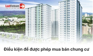 Điều kiện để được phép mua bán chung cư mới nhất