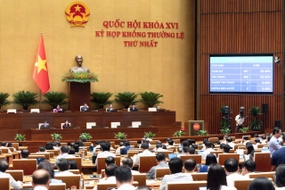 Quốc hội thông qua Luật sửa đổi điều kiện kinh doanh trong lĩnh vực nông nghiệp và môi trường
