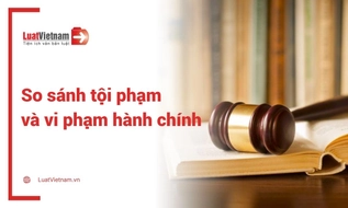 So sánh tội phạm và vi phạm hành chính mới nhất