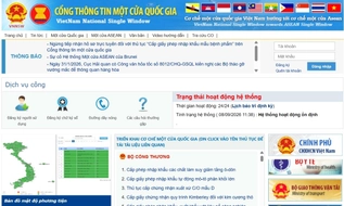 Doanh nghiệp được nộp hồ sơ cấp phép hàng hóa lưỡng dụng trực tiếp, qua bưu chính hoặc trực tuyến