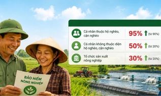 Cá nhân sản xuất nông nghiệp diện hộ nghèo được hỗ trợ đến 95% phí bảo hiểm nông nghiệp 