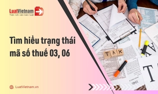 Trạng thái mã số thuế 03 và 06 là gì? Khác nhau thế nào?