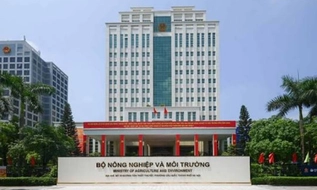 Từ 15/9/2026, cơ cấu tổ chức Bộ Nông nghiệp và Môi trường còn 28 đơn vị