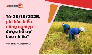 Mức hỗ trợ phí bảo hiểm nông nghiệp từ 20/10/2026