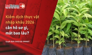 Thủ tục kiểm dịch thực vật nhập khẩu 2026: Hồ sơ và thời gian giải quyết