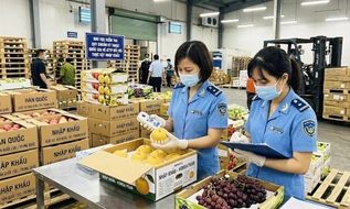 Từ 01/9/2026, cơ quan cấp tỉnh thực hiện kiểm tra an toàn thực phẩm nhập khẩu trước thông quan