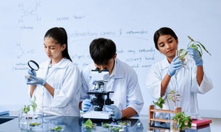 91 ngành khoa học, kỹ thuật, công nghệ chiến lược được áp dụng chính sách học bổng