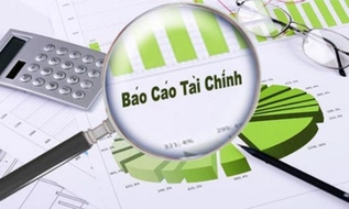 Doanh nghiệp nhỏ và vừa không được tự ý bổ sung chỉ tiêu của Báo cáo tài chính (Đề xuất)