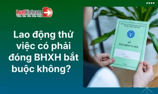 Doanh nghiệp có phải đóng BHXH bắt buộc cho lao động thử việc?