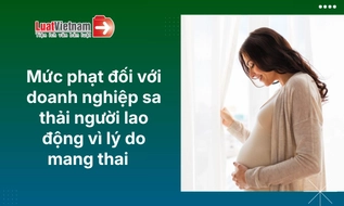 Doanh nghiệp sa thải người lao động vì lý do mang thai bị phạt bao nhiêu?