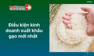 Kinh doanh xuất khẩu gạo phải đáp ứng điều kiện gì?