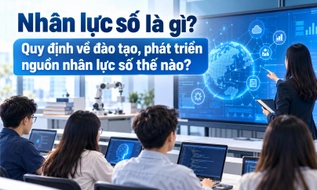 Nhân lực số là gì? Quy định về đào tạo, phát triển nguồn nhân lực số thế nào?