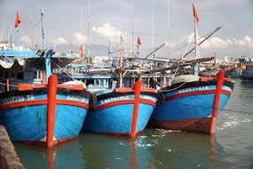 Từ năm 2027, tàu cá từ 12 mét trở lên phải sử dụng nhật ký khai thác thủy sản điện tử