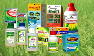 Chủ tịch UBND cấp tỉnh cấp giấy phép nhập khẩu thuốc bảo vệ thực vật trong 5 ngày làm việc