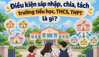 Điều kiện sáp nhập, chia, tách trường tiểu học, THCS, THPT là gì?