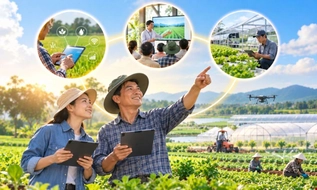 Quyết định 3773 BNNMT: Xây dựng chương trình đào tạo “nông dân số”, “nông dân chuyên nghiệp” trong quý II/2027
