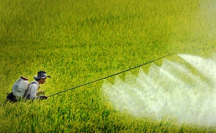 Thuốc bảo vệ thực vật thuộc nhóm hàng hóa rủi ro cao, phải kiểm tra chuyên ngành trước thông quan