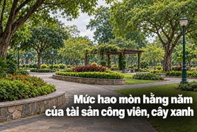Mức hao mòn hằng năm của tài sản công viên, cây xanh được tính thế nào?