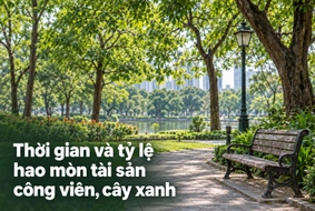 Thông tư 115/2026/TT-BTC quy định thời gian và tỷ lệ hao mòn tài sản công viên, cây xanh thế nào?