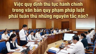 Việc quy định thủ tục hành chính trong văn bản quy phạm pháp luật phải tuân thủ những nguyên tắc nào?