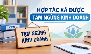 Hợp tác xã được tạm ngừng kinh doanh tối đa bao lâu, thủ tục thông báo thế nào?
