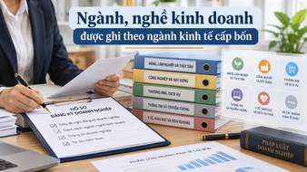 Ngành, nghề kinh doanh của tổ hợp tác, hợp tác xã được ghi trong hồ sơ đăng ký như thế nào?
