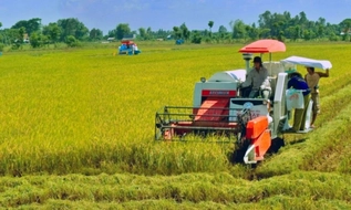 Từ 20/10/2026, hộ nghèo, cận nghèo được hỗ trợ tối đa 95% phí bảo hiểm nông nghiệp