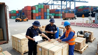 Hàng hóa nào bị cấm kinh doanh tạm nhập, tái xuất, chuyển khẩu? 