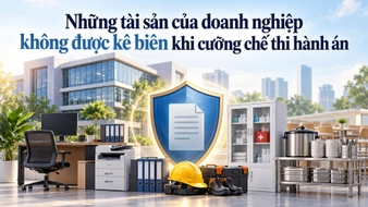 Những tài sản nào của doanh nghiệp không được kê biên khi cưỡng chế thi hành án?