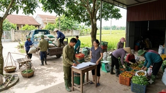 Tổ hợp tác có những quyền và nghĩa vụ gì?