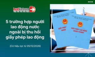 Trường hợp nào người nước ngoài bị thu hồi giấy phép lao động? [Mới nhất]