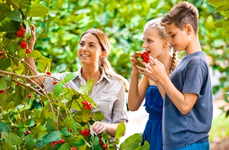 Cảnh báo lừa đảo đưa người lao động đi làm nông nghiệp tại Úc