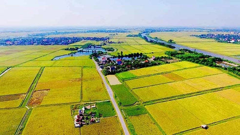 The single case not entitled to issuance of certificates of land use rights still gets compensation