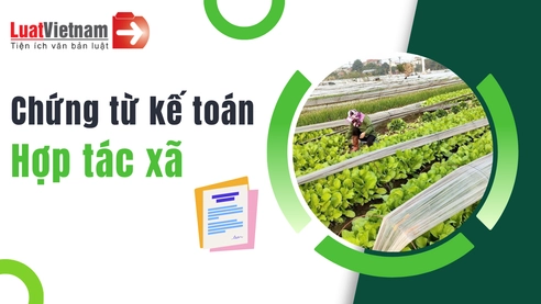 Chứng từ kế toán là gì? Quy định về chứng từ kế toán Hợp tác xã từ 7/10/2024