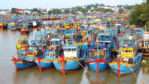 Hướng dẫn đăng ký tàu cá sau sắp xếp tổ chức bộ máy Nhà nước từ 01/7/2025
