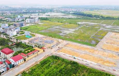 Chỉ đạo chuẩn bị thực hiện công tác thống kê đất đai năm 2025