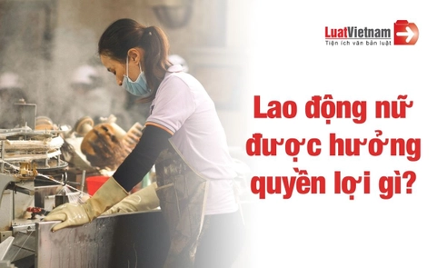 Lao động nữ trong doanh nghiệp được hưởng quyền lợi nào?