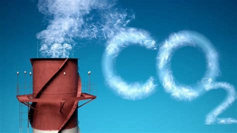 Ministry establishes monitoring framework for carbon market