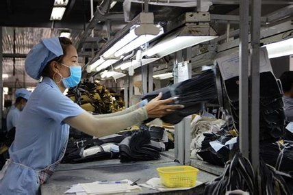 Overview of Decree on administrative penalties in the fields of labor and social insurance