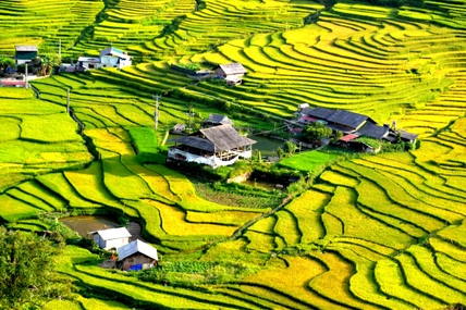 Taxes proposed on vacant land, speculative deals