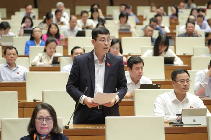 Draft urban development law expected to create long-term framework for HCM City’s growth