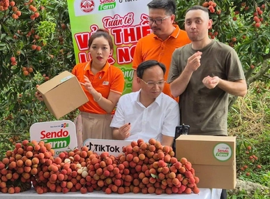 New E-Commerce Law establishes comprehensive framework for cross-border trade