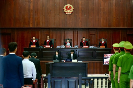 New resolution opens way to tackle overdue and evaded social insurance contributions