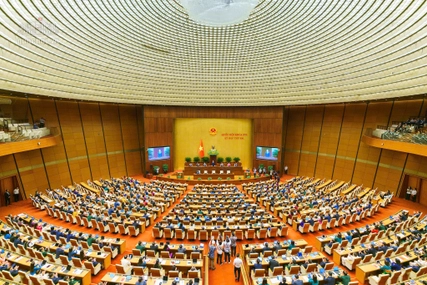Law revisions expected to unlock land resources for socio-economic development