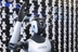 Sci-tech diplomacy: A new mission for diplomatic sector