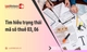Trạng thái mã số thuế 03 và 06 là gì? Khác nhau thế nào?