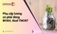 Quy định về phụ cấp lương mới nhất